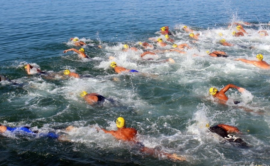 13 km na raça: a Invasão da Ilha Grande desafia até os nadadores mais preparados.